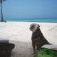 Mirando al horizonte
